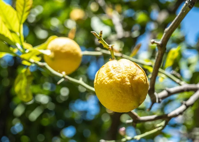 アパート Giorgi In Riviera Ligure