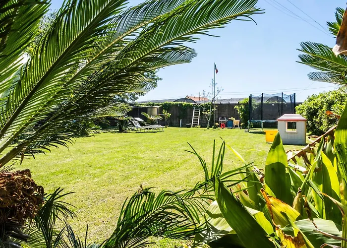 Giorgi In Riviera Ligure Albenga